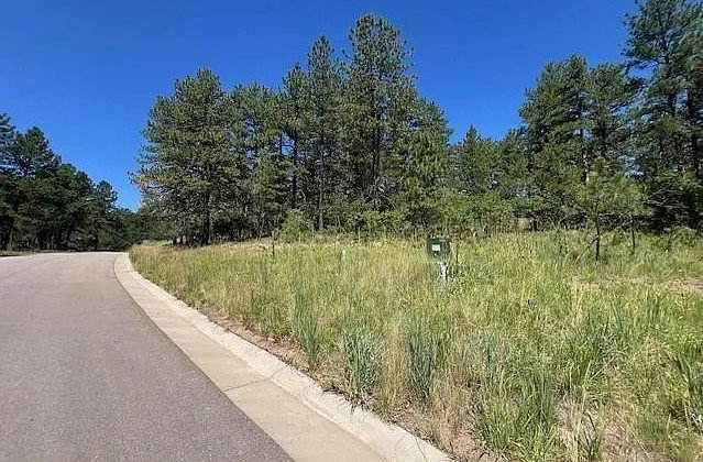 773 Copper Fox Dr